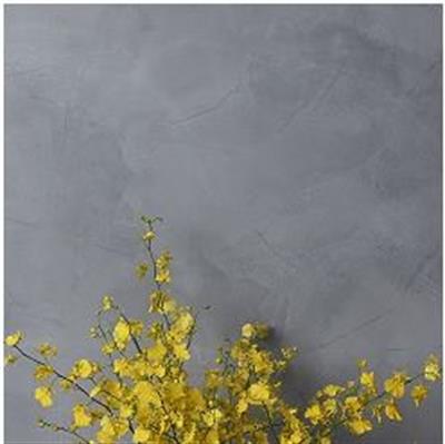 Porters Speciality Finishes