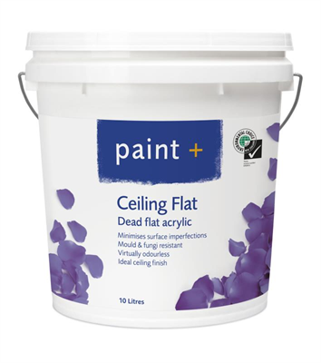 PAINT PLUS CEILING FLAT