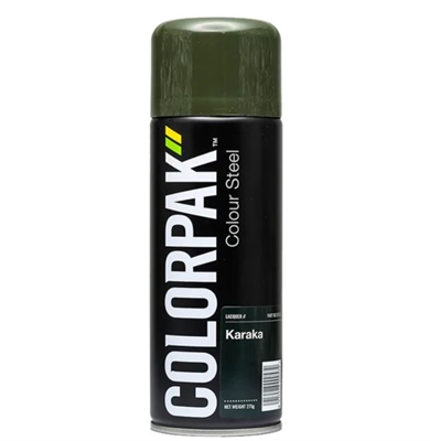 275g Colorpak Aerosol - Colour Steel FLAXPOD