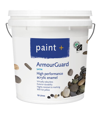 PAINT PLUS ARMOURGUARD